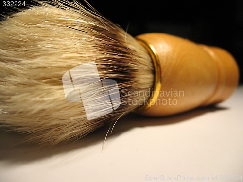 Image of brush