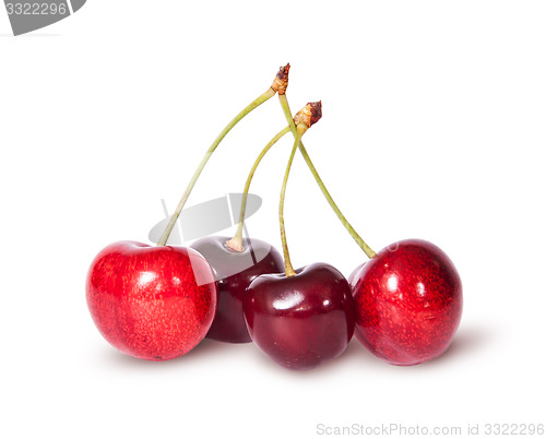 Image of Four red juicy sweet cherries
