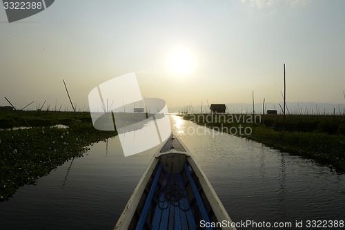 Image of ASIA MYANMAR NYAUNGSHWE FLOATING GARDENS