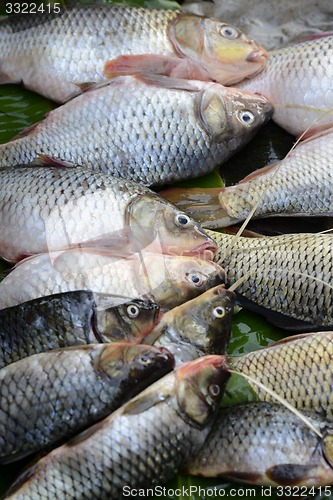 Image of ASIA MYANMAR NYAUNGSHWE FISH MARKET