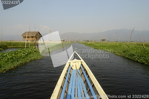 Image of ASIA MYANMAR NYAUNGSHWE FLOATING GARDENS