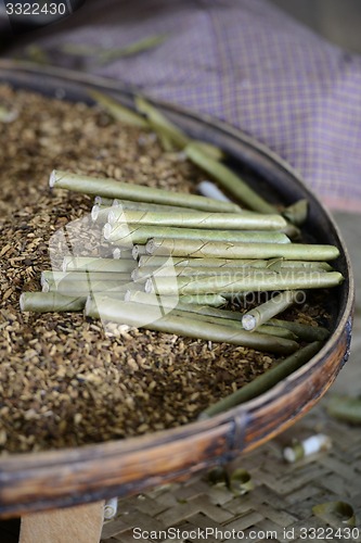 Image of ASIA MYANMAR NYAUNGSHWE TABACCO FACTORY