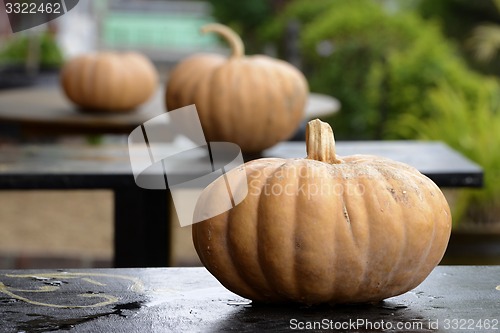 Image of ASIA MYANMAR NYAUNGSHWE PUMPKINS