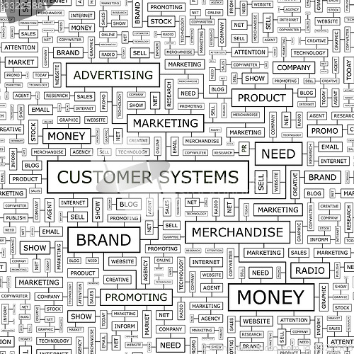 Image of CUSTOMER SYSTEMS