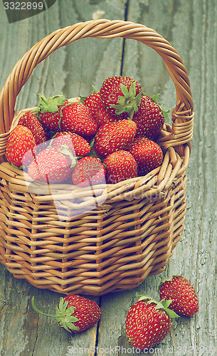 Image of Forest Strawberries