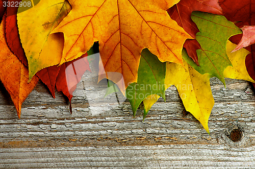 Image of Frame of Autumn Leafs
