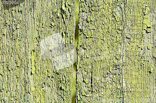 Image of Background texture of old rustic weathered grunge cracked wood