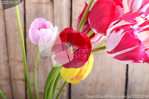 Image of Bouquet of red tulips against a wooden background, close up flowers