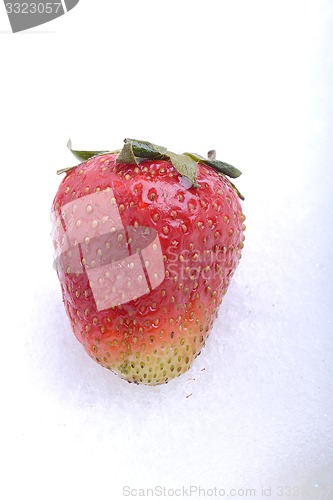 Image of Close up strawberry in a cold ice