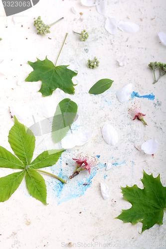 Image of Abstract floral background in vintage style. flowers on old  watercolor background