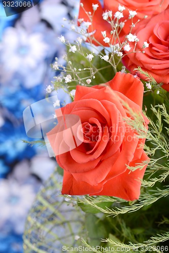 Image of A close up macro shot of a red rose