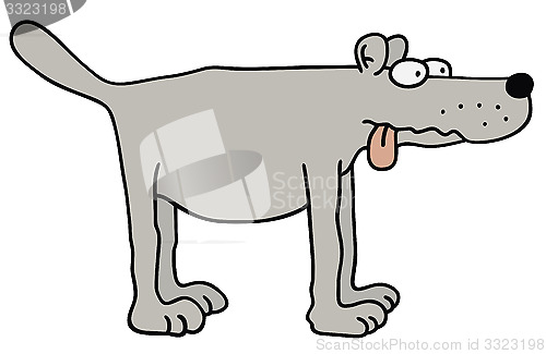 Image of Funny gray dog