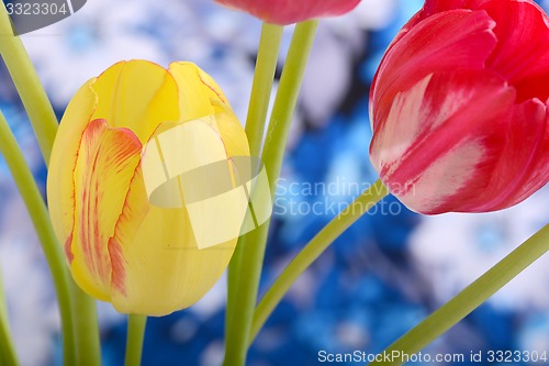Image of bouquet of tulips. spring flower