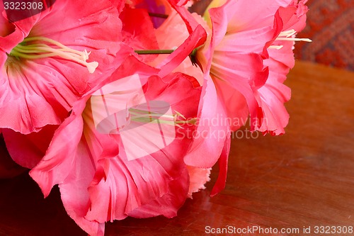 Image of Colorful of Artificial flowers