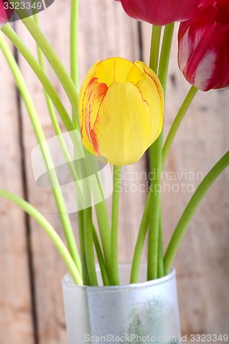 Image of bouquet of tulips. spring flower