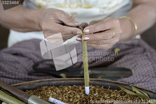 Image of ASIA MYANMAR NYAUNGSHWE TABACCO FACTORY