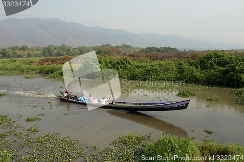 Image of ASIA MYANMAR NYAUNGSHWE FLOATING GARDENS