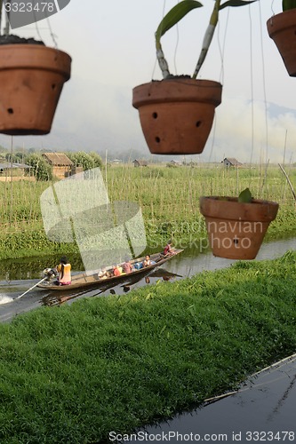 Image of ASIA MYANMAR NYAUNGSHWE FLOATING GARDENS