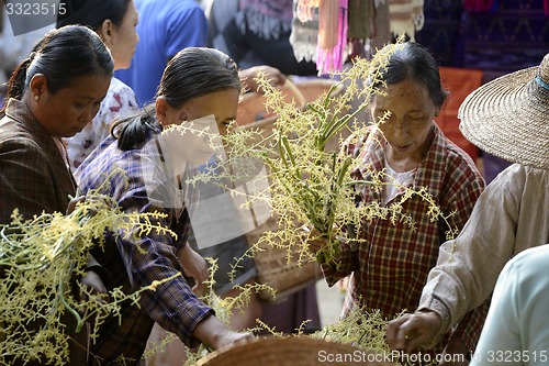 Image of ASIA MYANMAR NYAUNGSHWE WEAVING FACTORY