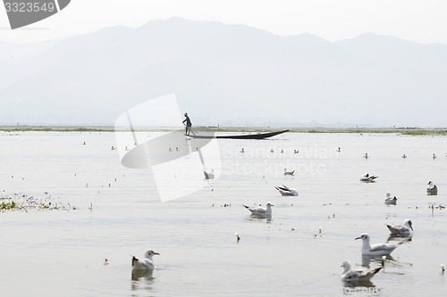 Image of ASIA MYANMAR NYAUNGSHWE INLE LAKE