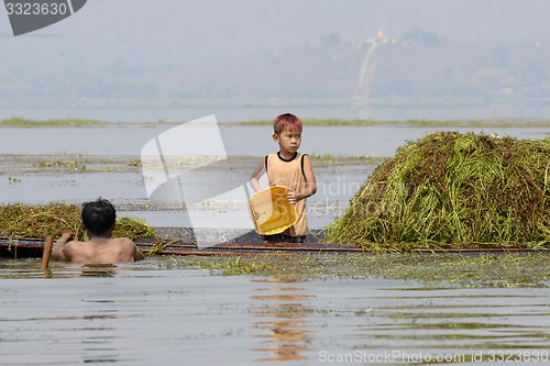 Image of ASIA MYANMAR NYAUNGSHWE INLE LAKE