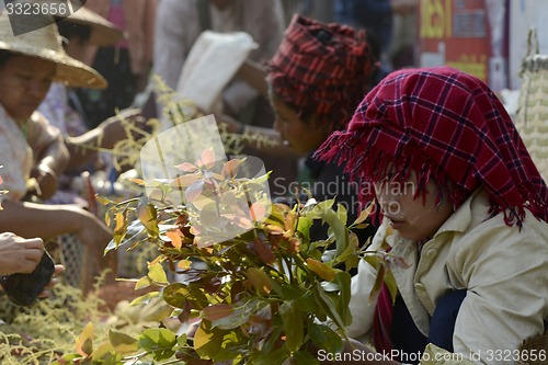 Image of ASIA MYANMAR NYAUNGSHWE  MARKET