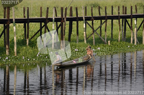 Image of ASIA MYANMAR NYAUNGSHWE FLOATING GARDENS