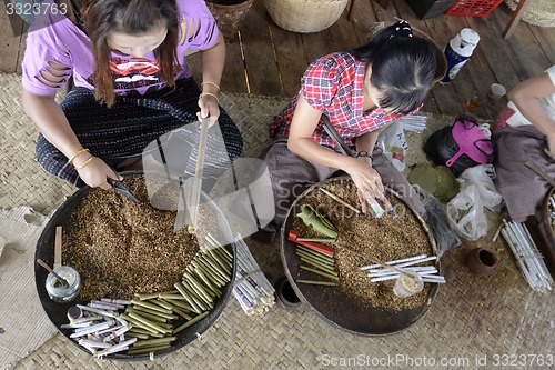 Image of ASIA MYANMAR NYAUNGSHWE TABACCO FACTORY