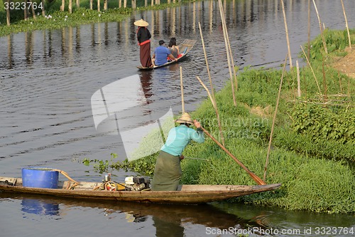 Image of ASIA MYANMAR NYAUNGSHWE FLOATING GARDENS