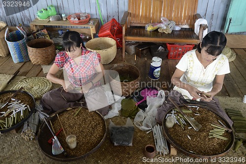 Image of ASIA MYANMAR NYAUNGSHWE TABACCO FACTORY