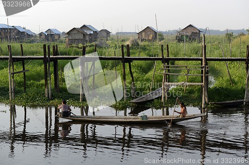 Image of ASIA MYANMAR NYAUNGSHWE FLOATING GARDENS