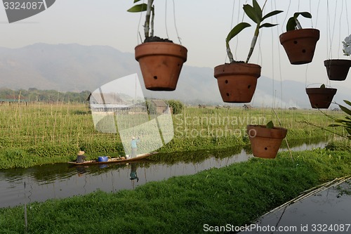 Image of ASIA MYANMAR NYAUNGSHWE FLOATING GARDENS