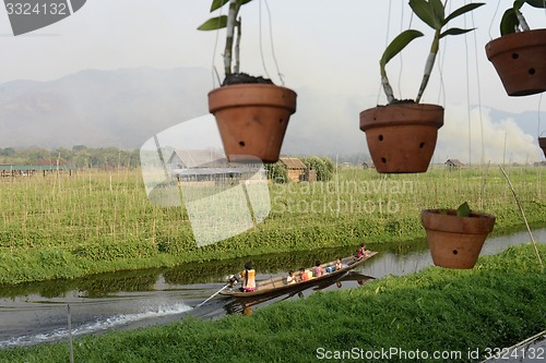 Image of ASIA MYANMAR NYAUNGSHWE FLOATING GARDENS