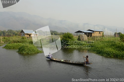 Image of ASIA MYANMAR NYAUNGSHWE FLOATING GARDENS