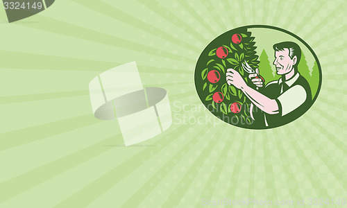 Image of Business card Horticulturist Farmer Pruning Fruit