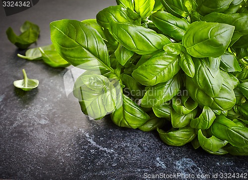 Image of fresh basil leaves