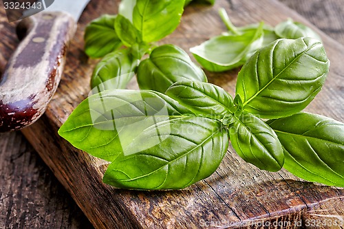 Image of fresh basil leaves