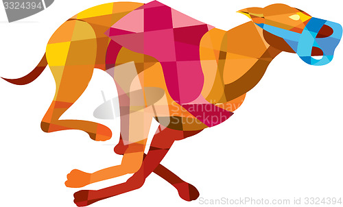 Image of Greyhound Dog Racing Low Polygon