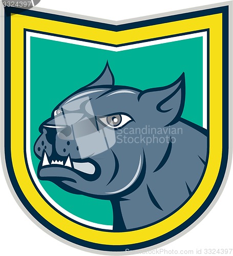 Image of Pitbull Dog Mongrel Head Side Shield Cartoon