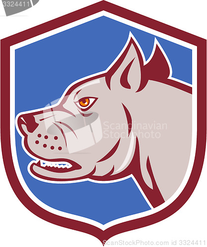 Image of Mastiff Dog Mongrel Head Shield Cartoon