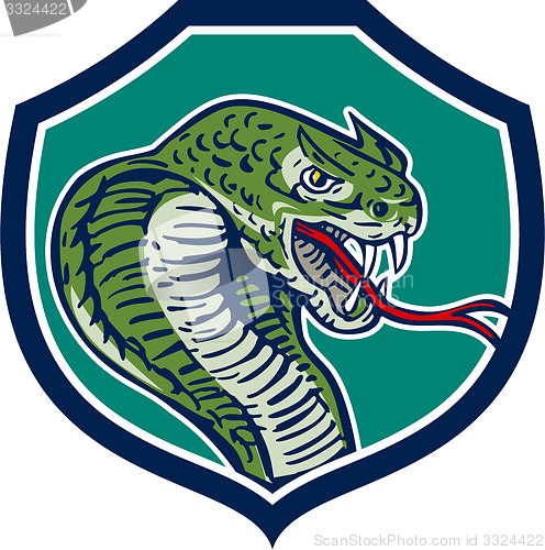 Image of Cobra Viper Snake Shield Retro