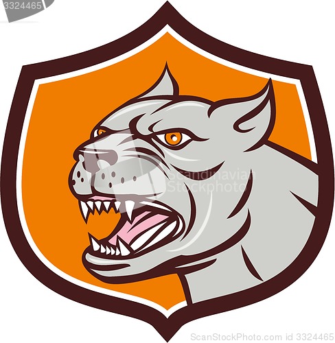 Image of Pitbull Dog Mongrel Head Shield Cartoon