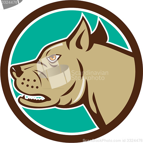 Image of Mastiff Dog Mongrel Head Circle Cartoon