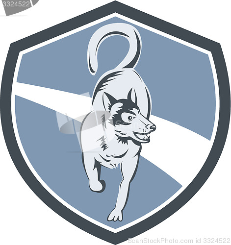 Image of Husky Dog Crest Retro