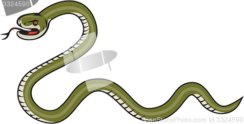 Image of Serpent Coiling Side Isolated Cartoon