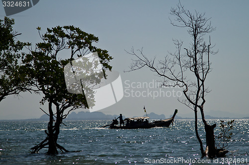 Image of Long tail boat  in Railay Beach Thailand