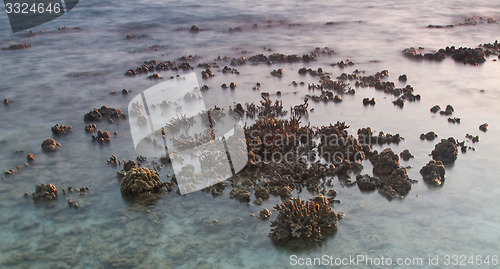 Image of Beach in Krabi Thailand