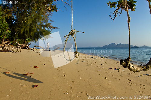 Image of Rudimentary swing at the beach in thailand