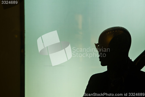 Image of Silhouette in a shop