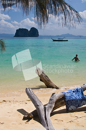 Image of Dead tree in water the beach  thailand